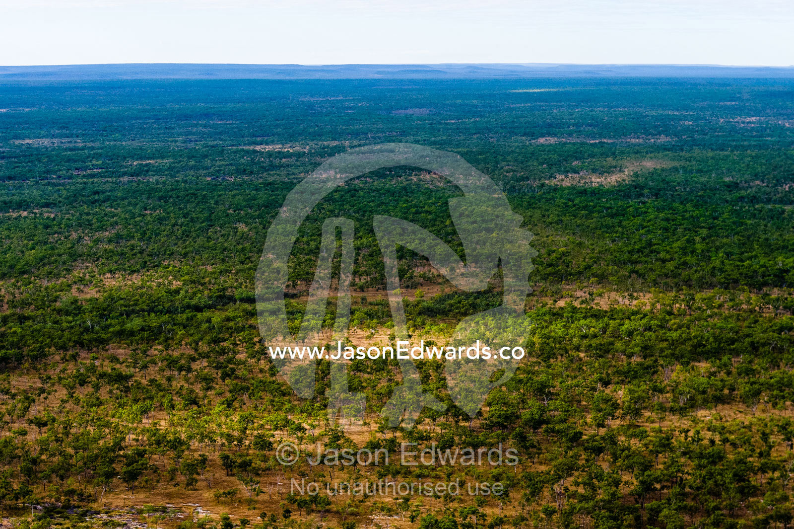An aerial view of an open woodland on an arid plateau in the Kimberley. Mitchell River National Park, Mitchell Plateau, Kimberley Coast, Western Australia, Australia.