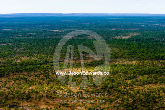 An aerial view of an open woodland on an arid plateau in the Kimberley. Mitchell River National Park, Mitchell Plateau, Kimberley Coast, Western Australia, Australia.