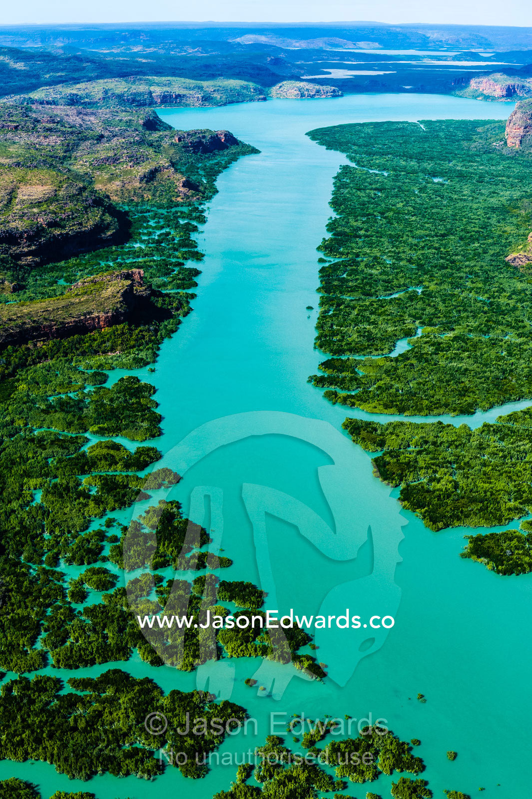An aerial view of river tidal inlets winding their way through mangrove forests. Porosus Creek, Hunter River, Mitchell River National Park, Mitchell Plateau, Kimberley Coast, Western Australia, Australia.