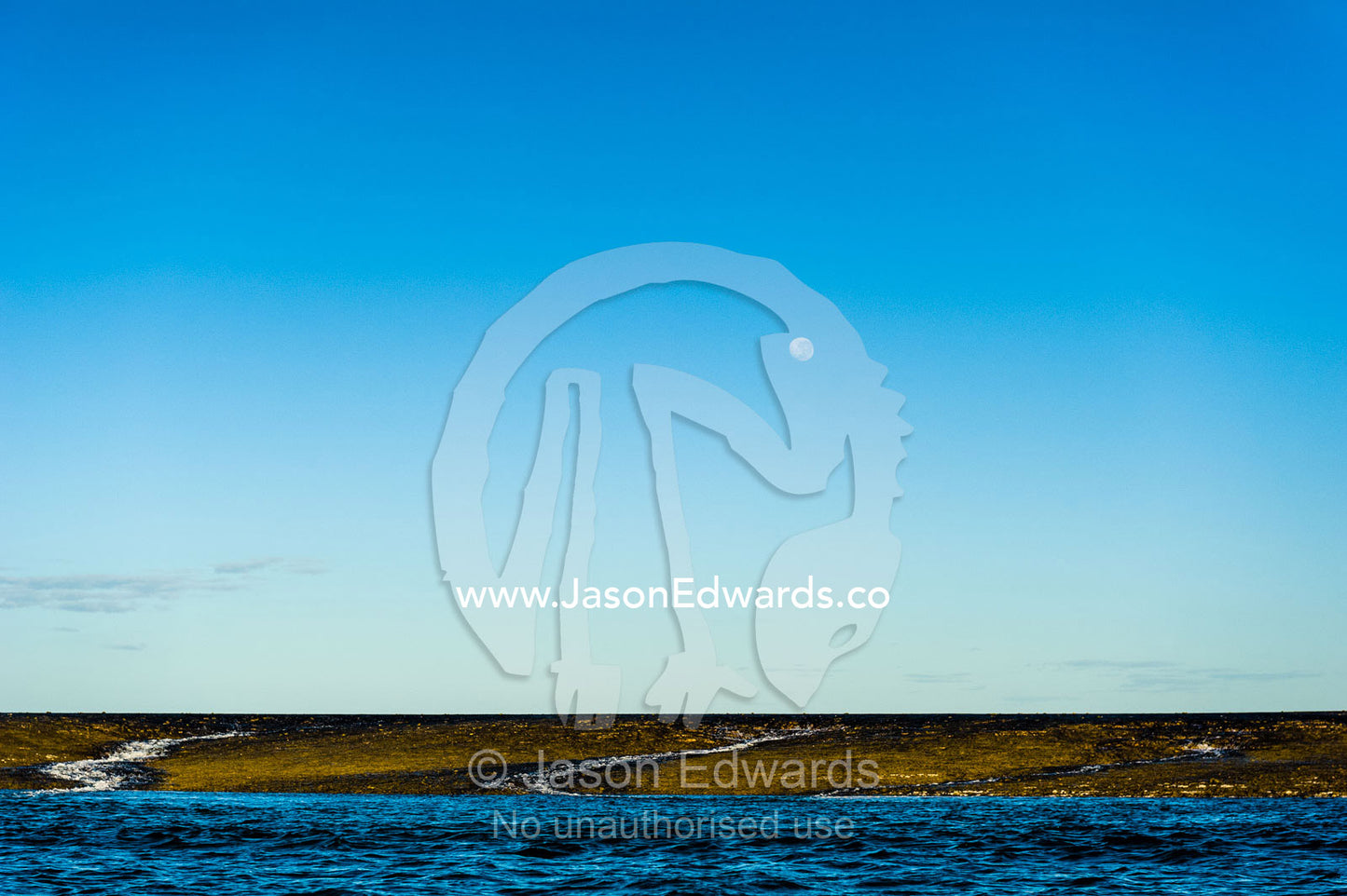 Water cascades from the surface of an exposed coral reef at low tide beneath moonrise. Montgomery Reef, Camden Sound, Kimberley Coast, Western Australia, Australia.