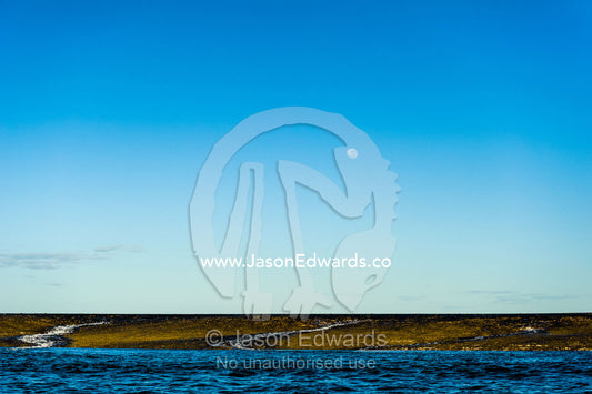 Water cascades from the surface of an exposed coral reef at low tide beneath moonrise. Montgomery Reef, Camden Sound, Kimberley Coast, Western Australia, Australia.
