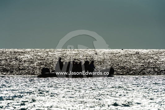 The silhouette of an inflatable zodiac with tourists exploring an exposed reef at low tide. Montgomery Reef, Camden Sound, Kimberley Coast, Western Australia, Australia.