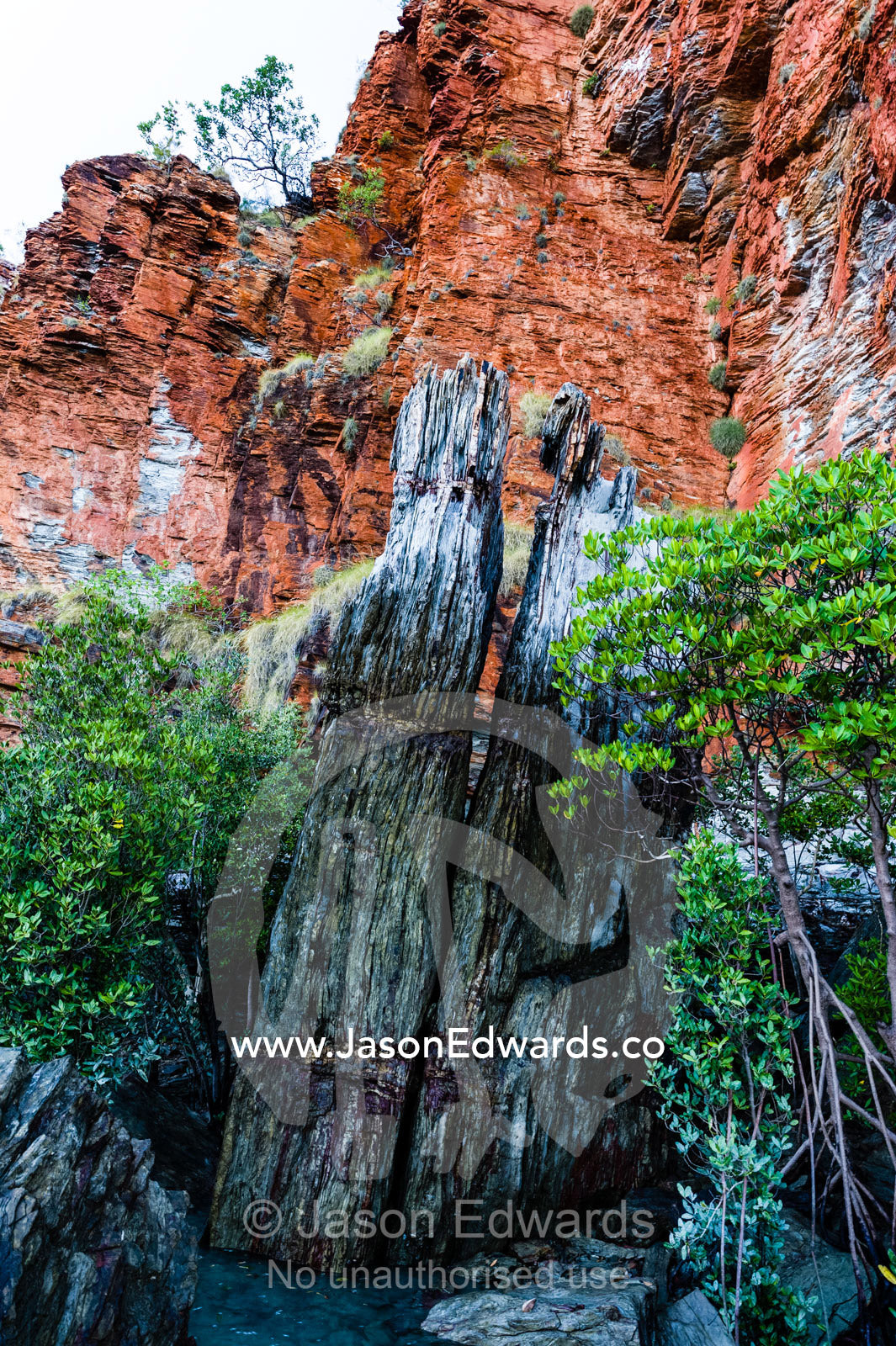A pillar of rock standing in a mangrove forest by a desert island. Slug Island, Buccaneer Archipelago, Kimberley Coast, Western Australia, Australia.