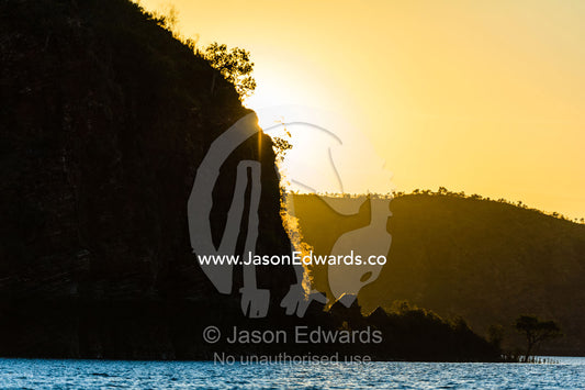 The silhouette of desert trees growing on a sandstone headland at sunset. Slug Island, Buccaneer Archipelago, Kimberley Coast, Western Australia, Australia.