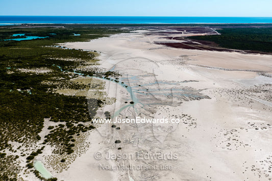 Dendritic drainage patterns in the sand of a tidal marsh at low tide. Willie Creek, Willie Creek Pearl Farm, Broome, Western Australia, Australia.
