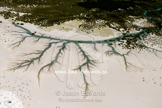 Dendritic drainage patterns in the sand of a tidal marsh at low tide. Willie Creek, Willie Creek Pearl Farm, Broome, Western Australia, Australia.