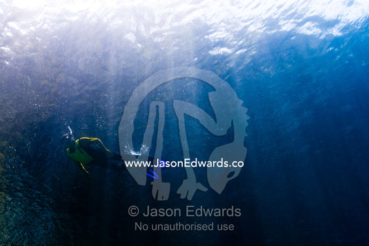 A tourist snorkeling through sunrays over a coral reef. Friwinbonda Island, Raja Ampat, Indonesia.