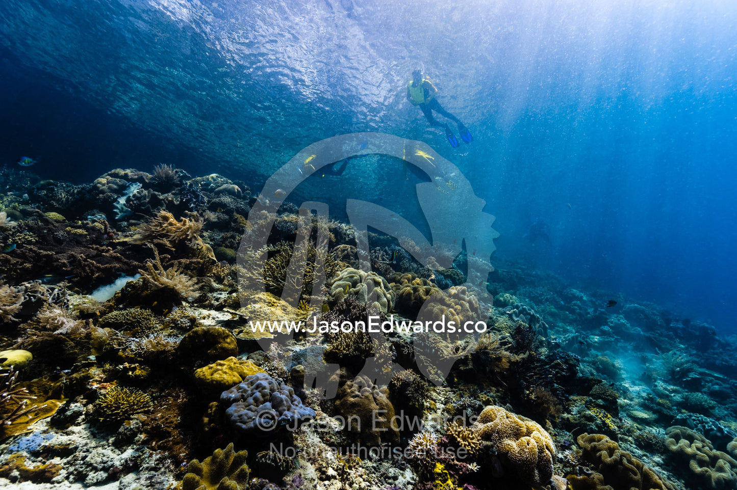 A tourist snorkeling through sunrays over a coral reef. Friwinbonda Island, Raja Ampat, Indonesia.