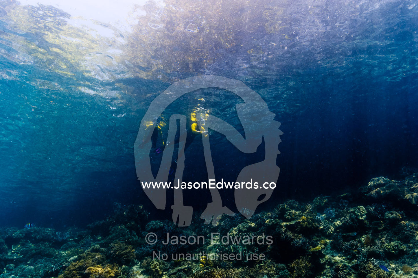 Tourists snorkeling through sunrays over a coral reef. Friwinbonda Island, Raja Ampat, Indonesia.