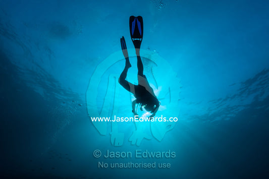 The silhouette of a scuba diver surrounded by sunrays in a tropical ocean. Friwinbonda Island, Raja Ampat, Indonesia.