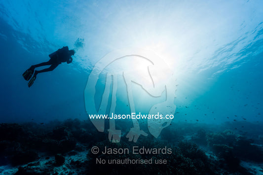 The silhouette of a scuba diver swimming through sunrays above a coral reef in a tropical ocean. Friwinbonda Island, Raja Ampat, Indonesia.