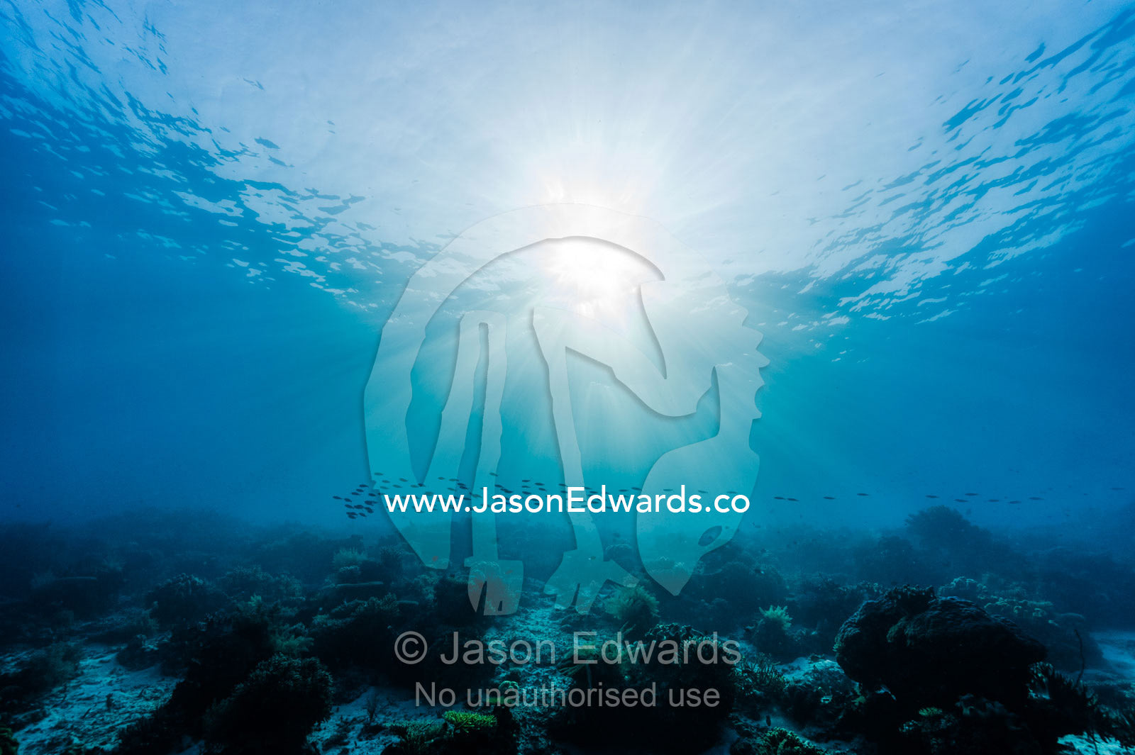 Late afternoon sunrays pierce the ocean surface and a school of fish above a coral reef. Friwinbonda Island, Raja Ampat, Indonesia.