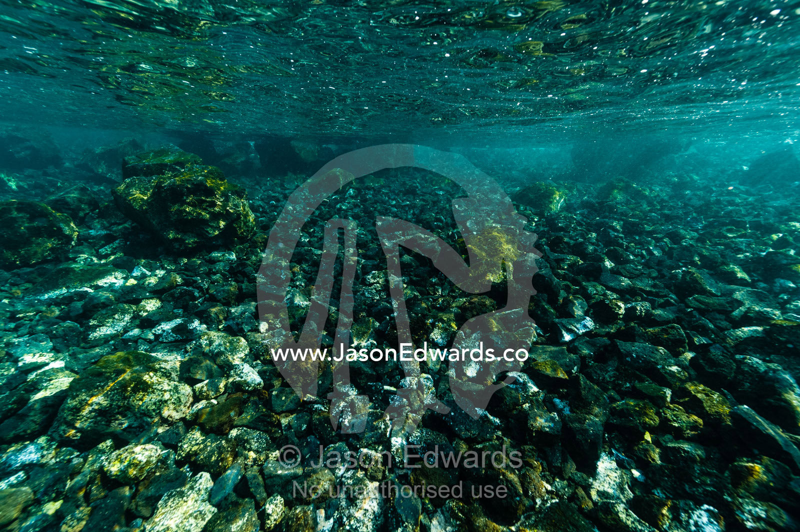 Algae growth on black lava which has flowed down the slope of an active volcano into the ocean. Lava Flow, Banda Neira, Banda Islands, Maluku Province, Indonesia.