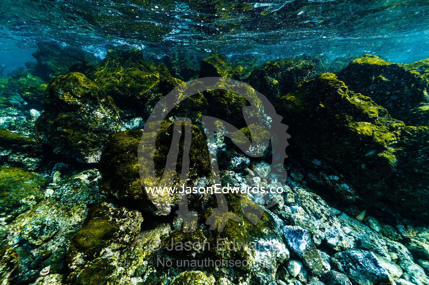 Algae growth on black lava which has flowed down the slope of an active volcano into the ocean. Lava Flow, Banda Neira, Banda Islands, Maluku Province, Indonesia.