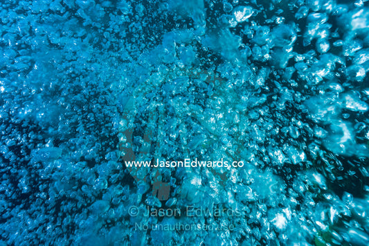 A cluster of air bubbles from a scuba divers tank floating to the surface from the depths. Fergusson Island, D'Entrecasteaux Islands, Papua New Guinea.