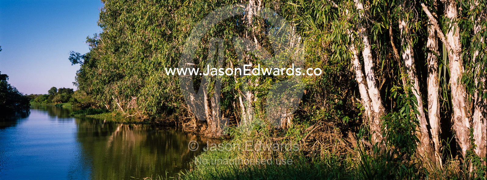 A river lined with paperbarks flows from a still billabong at sunset. Yellow Water Billabong, Cooinda, Kakadu National Park, Northern Territory, Australia.