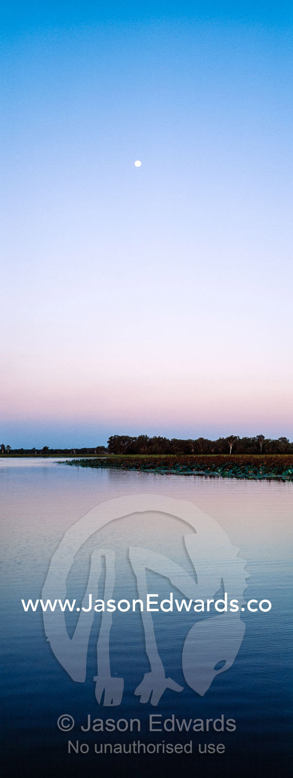 Moonrise over a still floodplain in the dry season. Yellow Water Billabong, Cooinda, Kakadu National Park, Northern Territory, Australia.