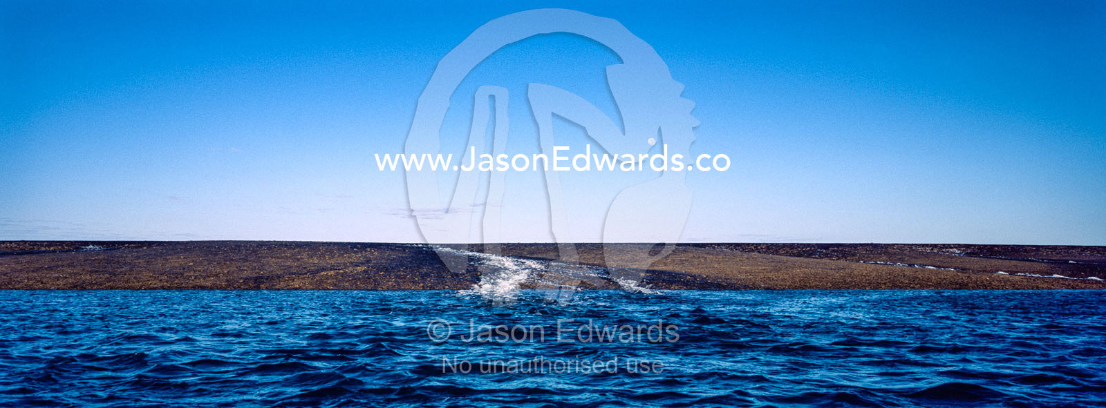 Water cascades from the surface of an exposed coral reef at low tide beneath moonrise. Montgomery Reef, Camden Sound, Kimberley Coast, Western Australia, Australia.