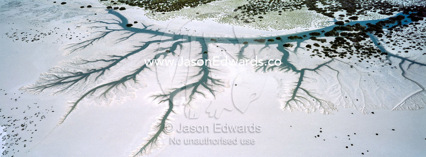 Dendritic drainage patterns on tidal marshes at low tide. Willie Creek Pearl Farm, Broome, Western Australia, Australia.