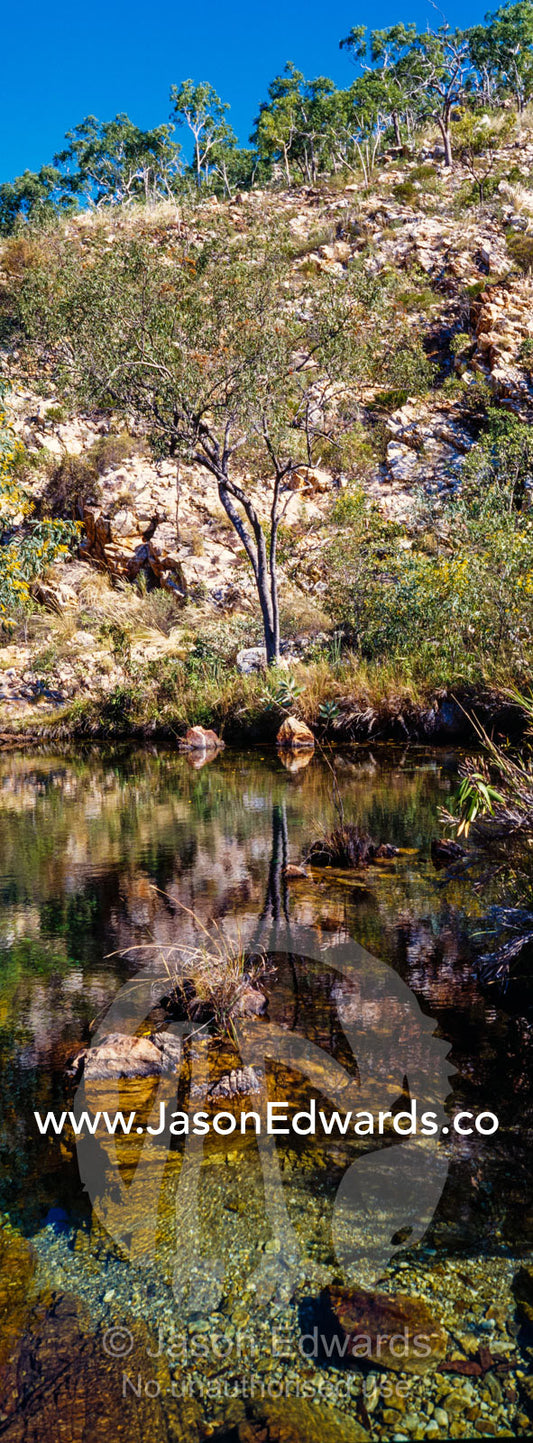 A cool stream flows into a billabong on a desert escarpment. Crocodile Creek, Kimberley Coast, Western Australia, Australia.