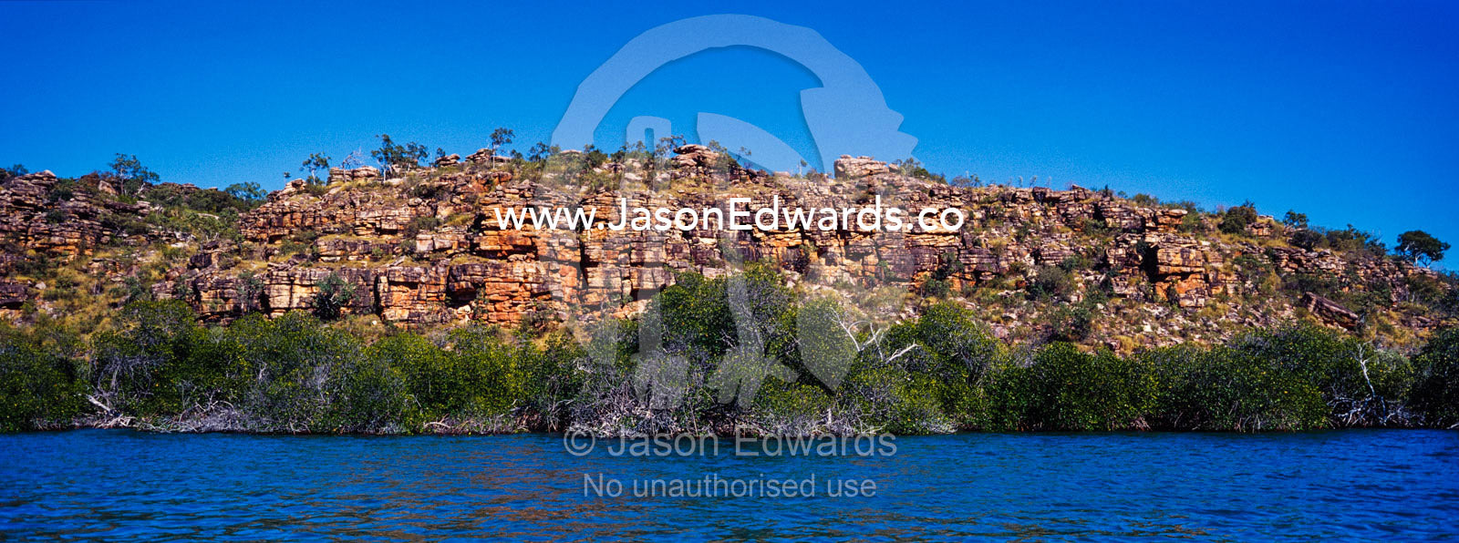 Mangroves line the foot of a sandstone cliff face in the Kimberley. King George River, King George Falls, Gardner Plateau, Kimberley Coast, Western Australia, Australia.