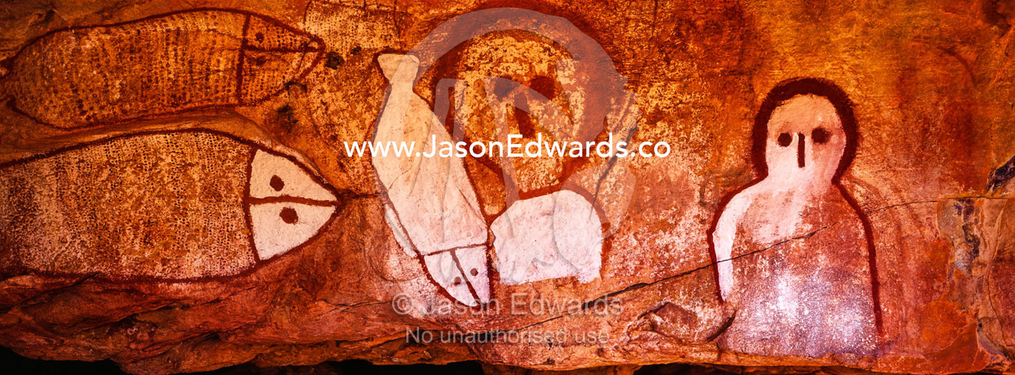 The rich ochre colours of an Aboriginal rock painting gallery featuring The Great Fish Chase. Raft Point, Doubtful Bay, Buccaneer Archipelago, Kimberley Coast, Western Australia, Australia.