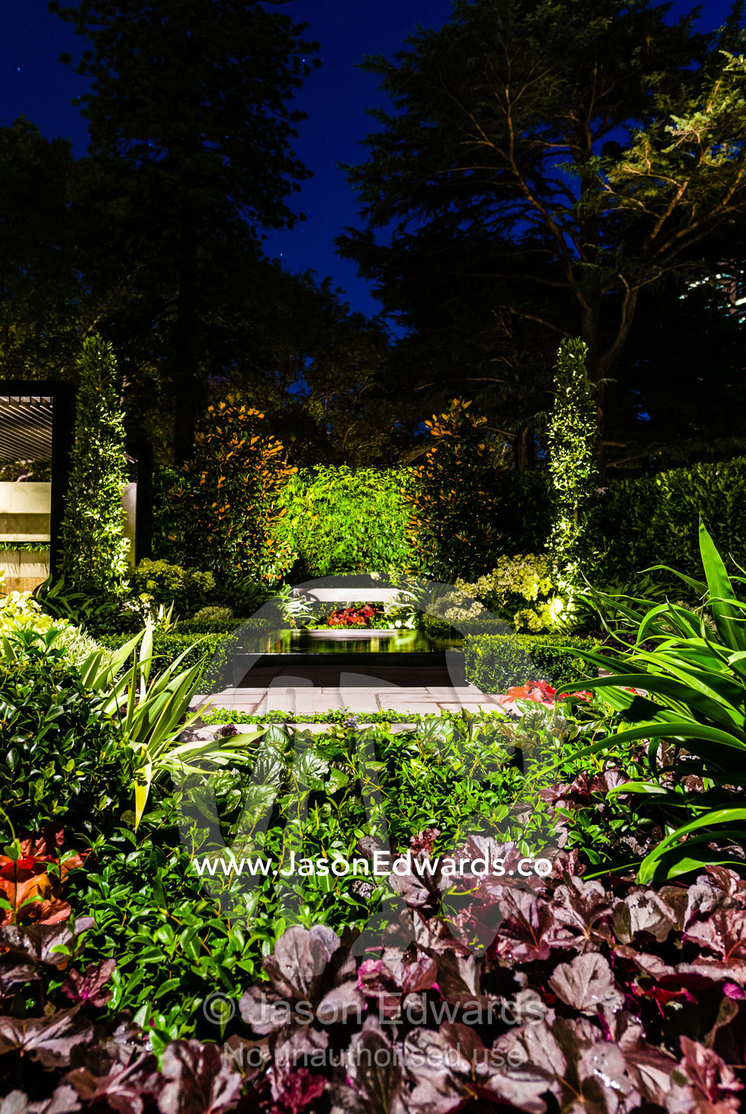 A lush garden setting, pond and lighting in a city park. Melbourne, Victoria, Australia.