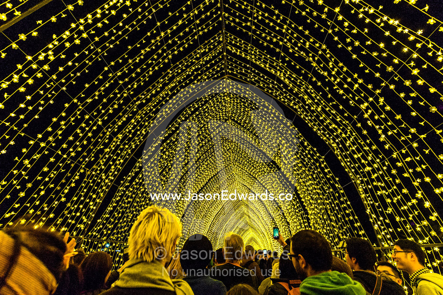 People funnel through an archway of flower lights in the Cathedral of Light. Sydney, New South Wales, Australia.