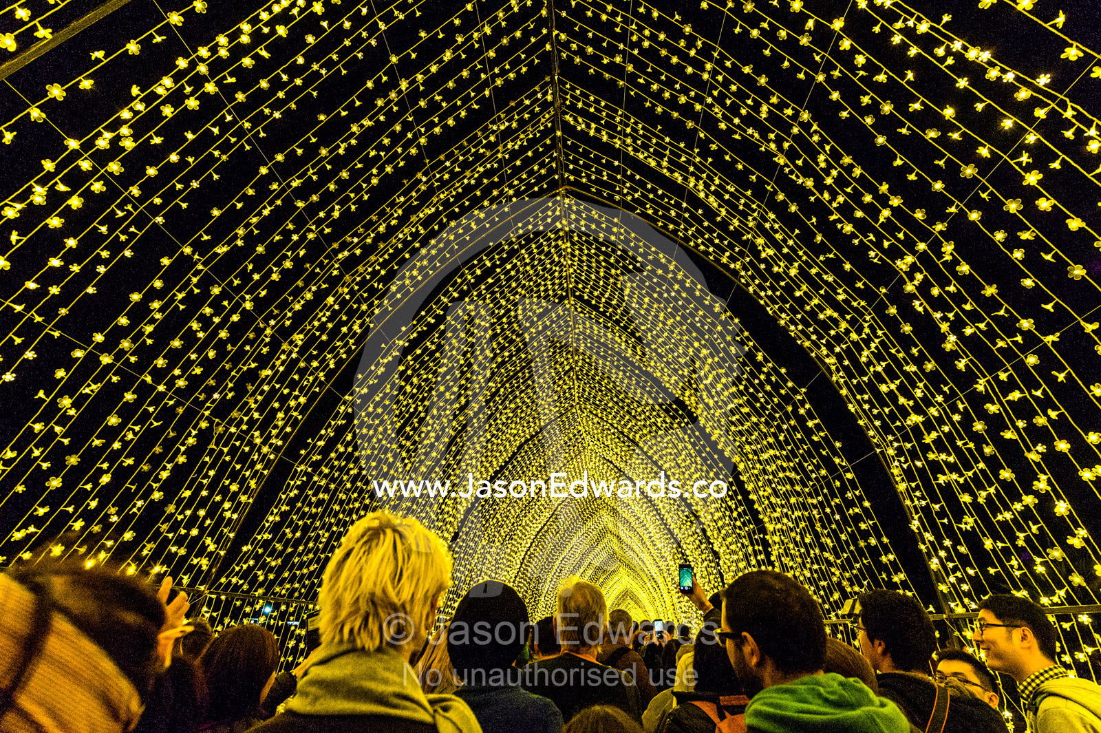 People funnel through an archway of flower lights in the Cathedral of Light. Sydney, New South Wales, Australia.