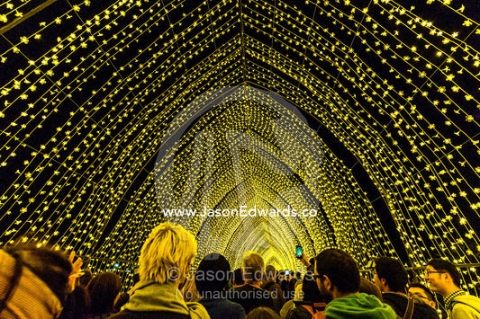 People funnel through an archway of flower lights in the Cathedral of Light. Sydney, New South Wales, Australia.