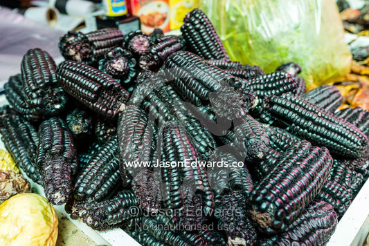 Black Aztec Sweet Corn for sale in a vegetable market. Santiago, Chile.
