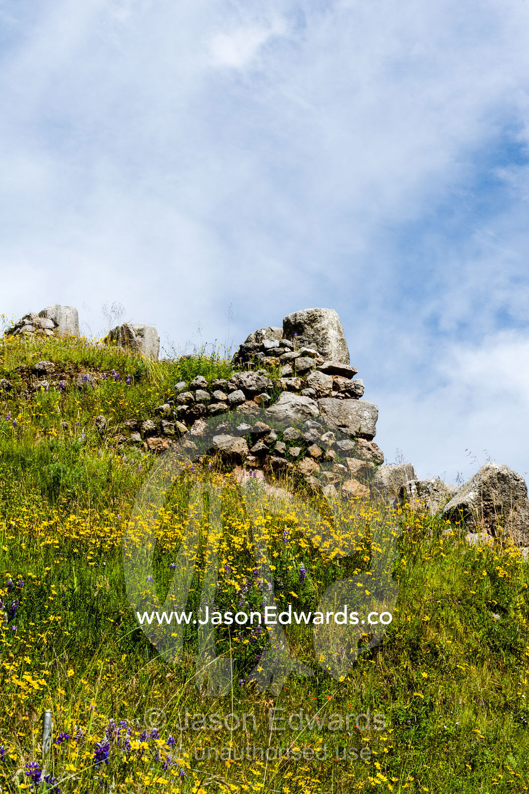Flowers growing amongst the ruins an an ancient Inca citadel. Cusco, Peru.