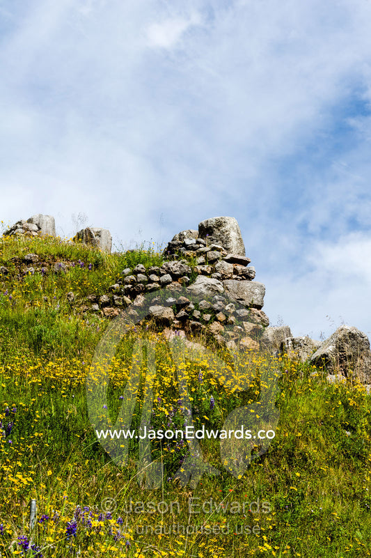 Flowers growing amongst the ruins an an ancient Inca citadel. Cusco, Peru.