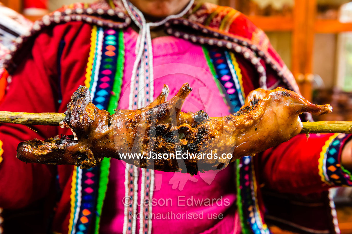 An Amaru woman holding a cooked guinea pig called a Cuy. Pisac, Peru.