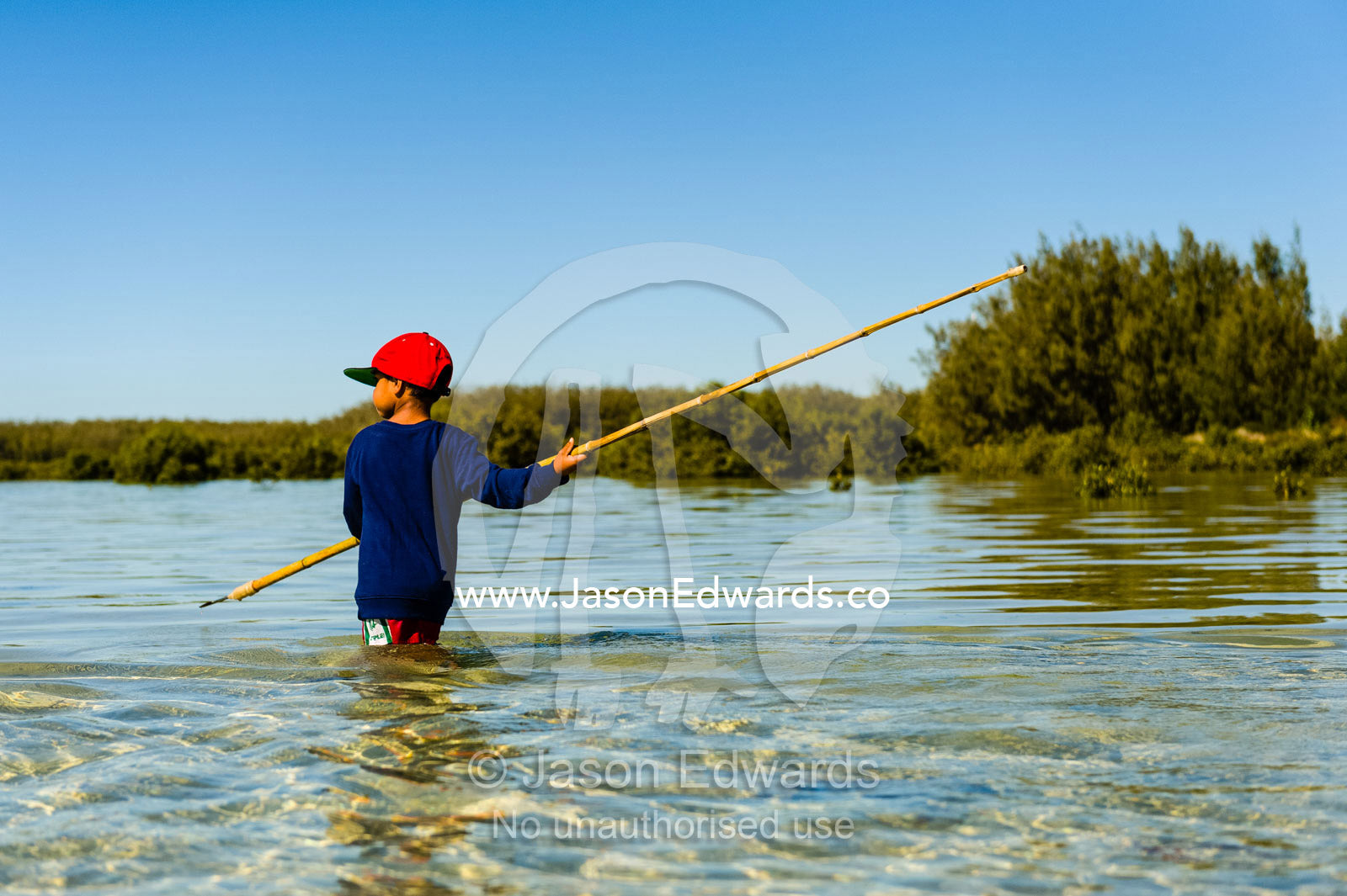 An Aboriginal boy uses a long barbed spear to hunt for stingrays in the shallows of a lagoon. Queensland, Australia.