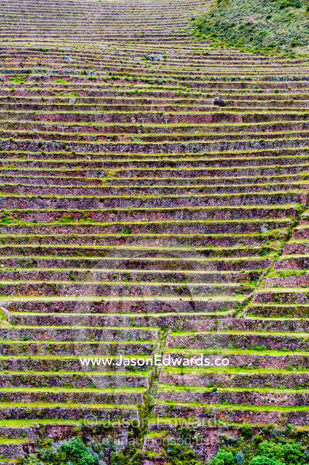 The Inca constructed agricultural terraces on the steep hillside. Pisac, Peru.