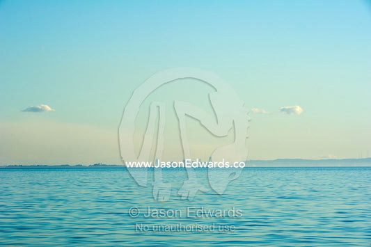 The Brisbane city skyline viewed from across the pastel ocean surface. Queensland, Australia.