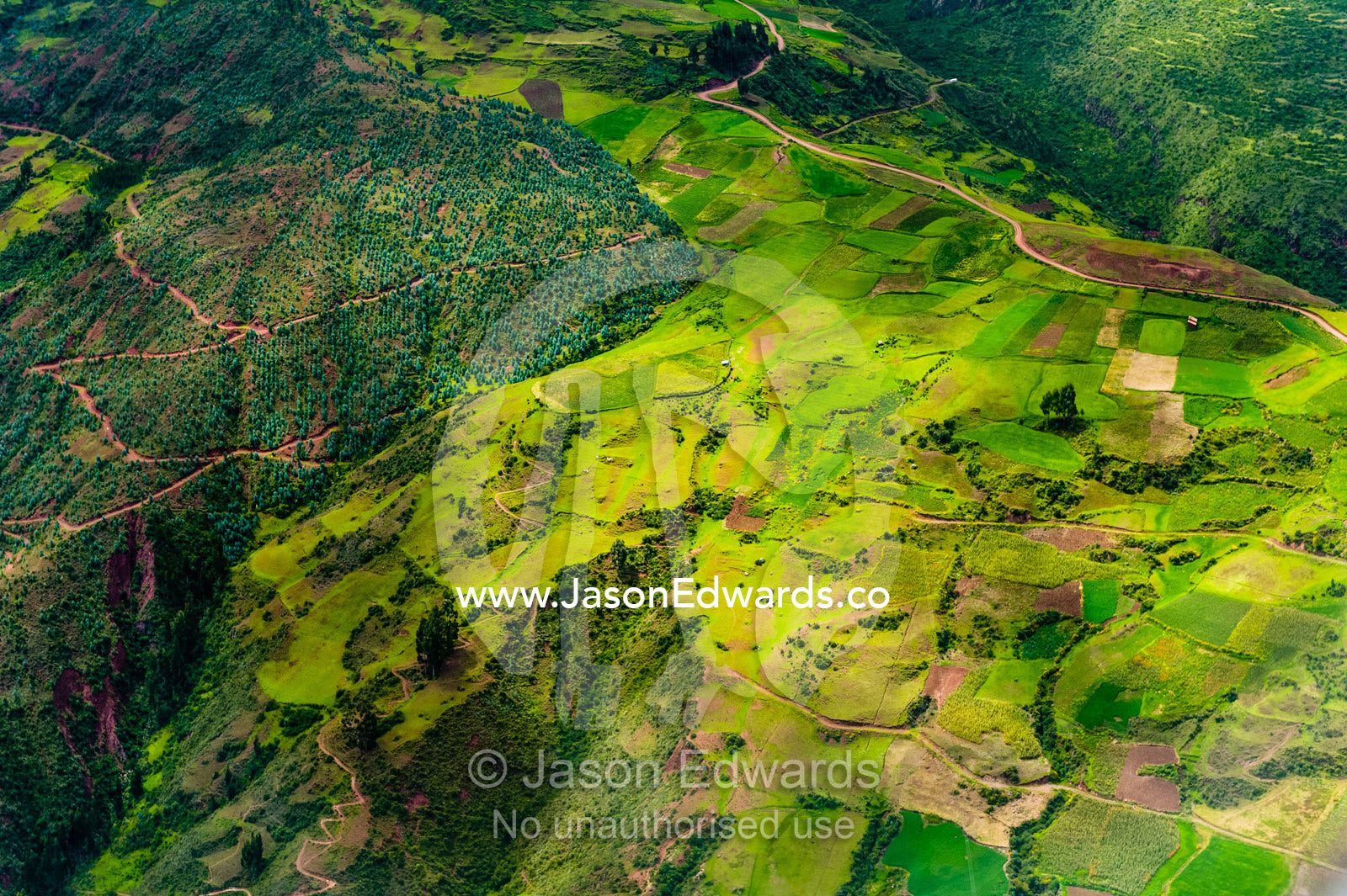 Agricultural crops and farmland on a hilltop in the Andes mountains. Cusco, Peru.