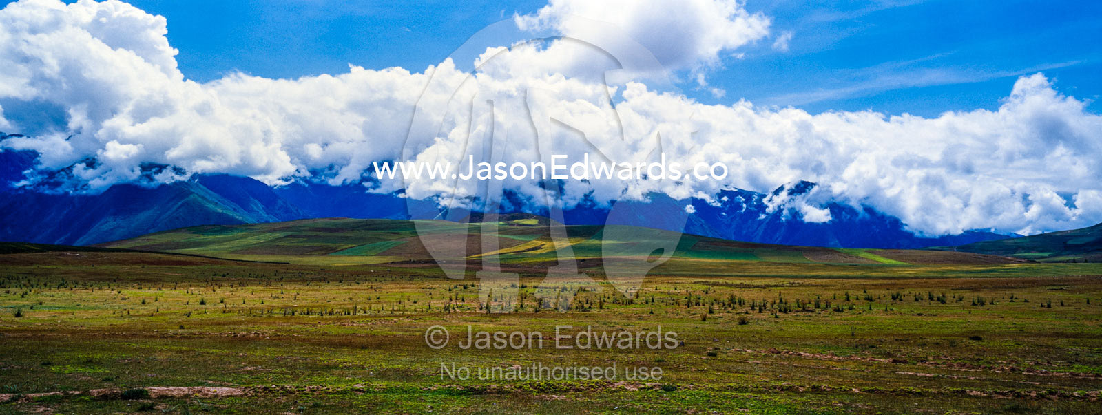 A high altitude plateau covered in an agricultural crop beneath cloudy peaks. Maras, Peru.