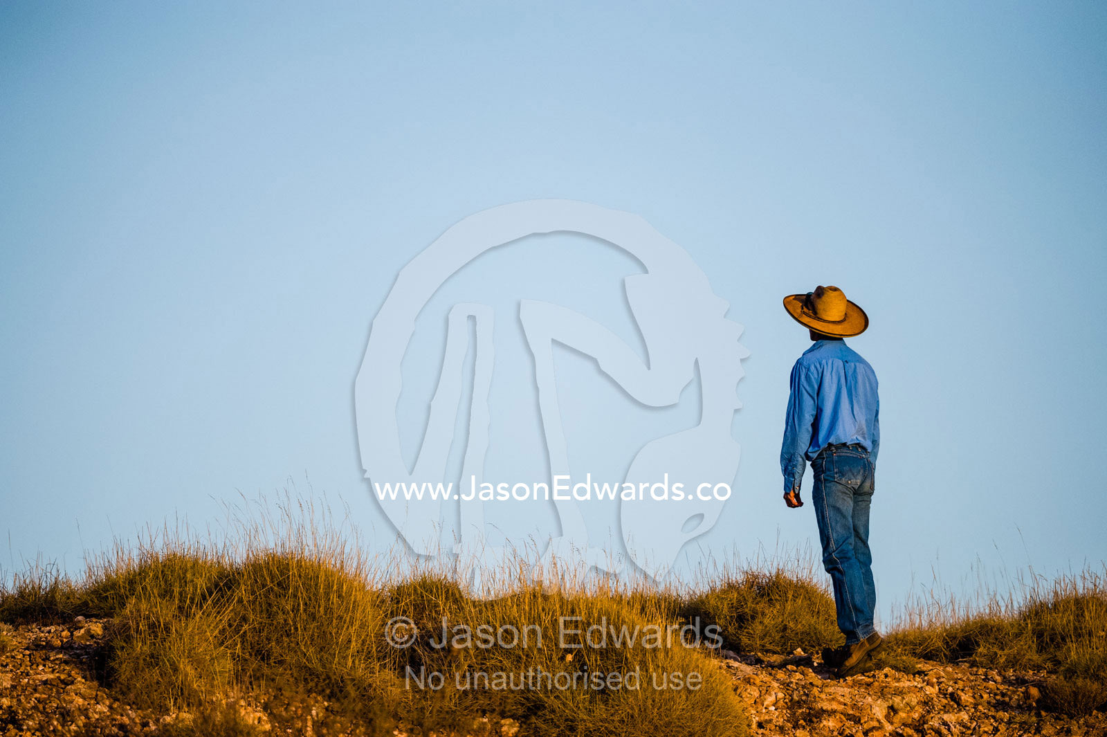 A horseman and farrier searches the desert for wild horse known as brumby. Namatjira, Gilbert Springs, Northern Territory, Australia