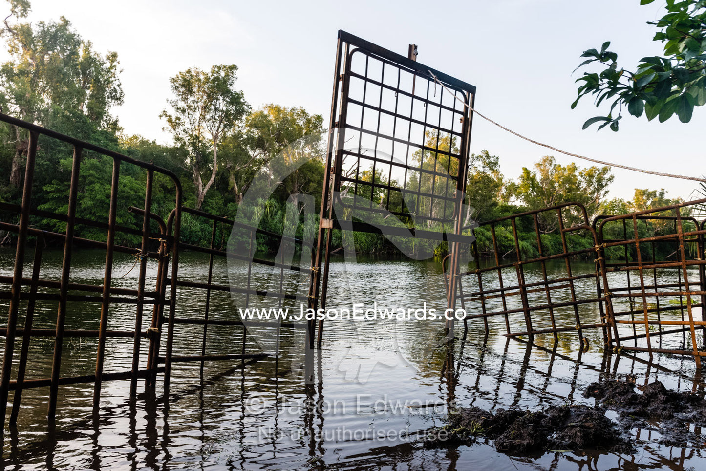 A steel cage in a billabong waterhole to trap a Saltwater Crocodile. Timber Creek, Bullo River Station, Northern Territory, Australia