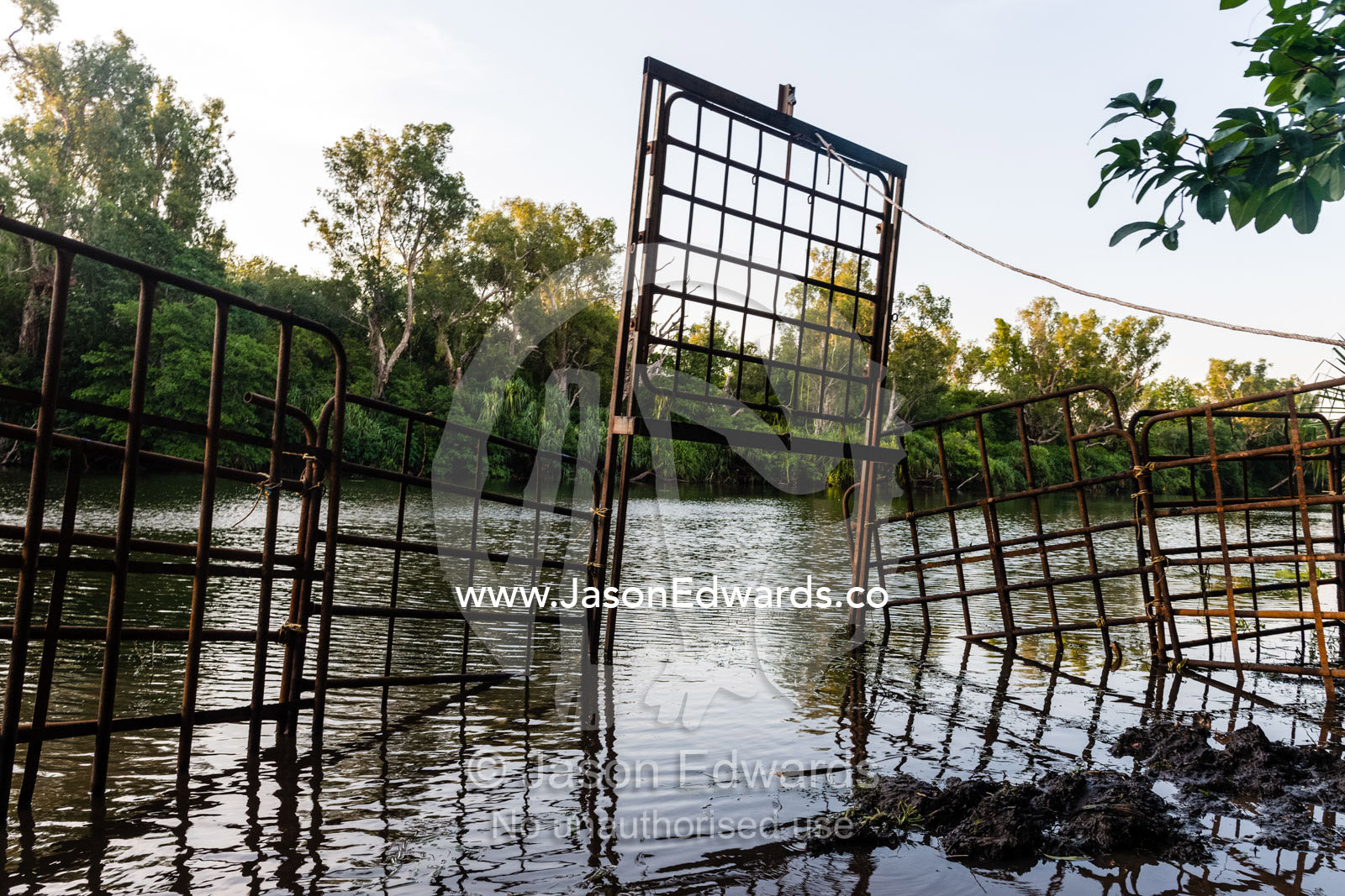A steel cage in a billabong waterhole to trap a Saltwater Crocodile. Timber Creek, Bullo River Station, Northern Territory, Australia