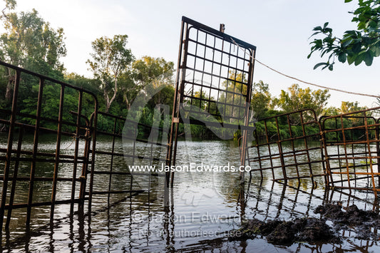 A steel cage in a billabong waterhole to trap a Saltwater Crocodile. Timber Creek, Bullo River Station, Northern Territory, Australia