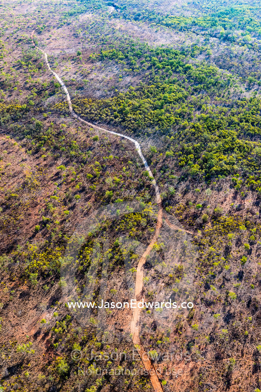 An aerial view of a vehicle track on an outback cattle station with scattered trees and erosion. Timber Creek, Bullo River Station, Northern Territory, Australia