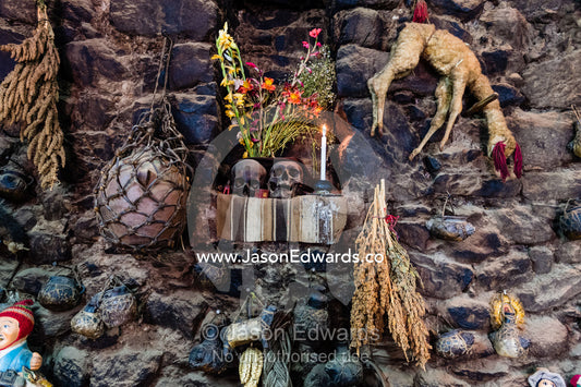A Quechua home altar with ancestor skulls and offerings including mummified newborn llama. Sacred Valley, Ollantaytambo, Urubamba, Peru