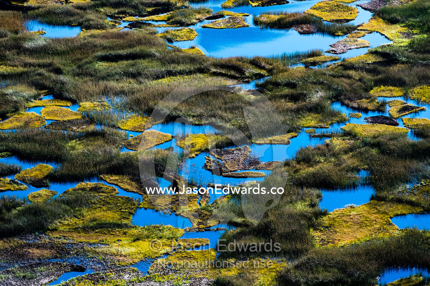 Peat bog and wetland reeds in a volcano caldera on Easter Island. Rano Kau Volcano, Rapa Nui, Easter Island, Chile