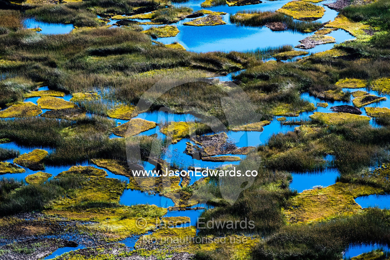 Peat bog and wetland reeds in a volcano caldera on Easter Island. Rano Kau Volcano, Rapa Nui, Easter Island, Chile