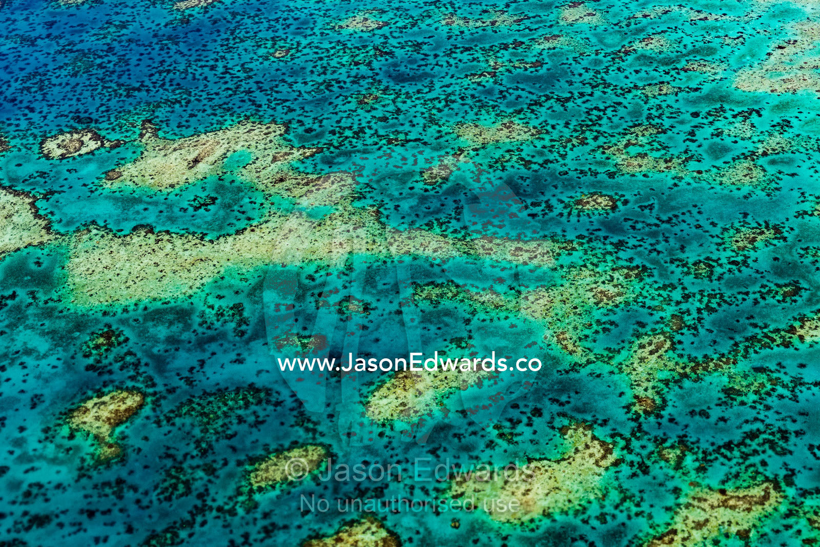 An aerial view of a coral reef rising up through turquoise seas. Cairns, Great Barrier Reef, Queensland, Australia