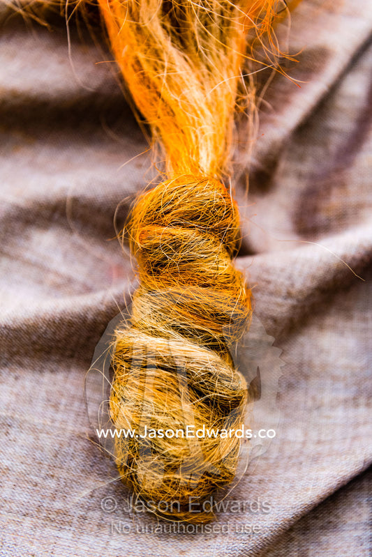 A yellow-dyed beard knot of a sadhu, an ascetic Hindu holy man. Kathmandu, Pashupatinath Temple, Nepal