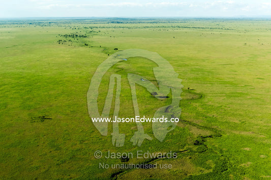 An aerial view of a winding river crossing the vast green savannah plain. Serengeti National Park, Tanzania